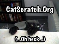 CatScratch.Org -- Internet Writing Collaboration